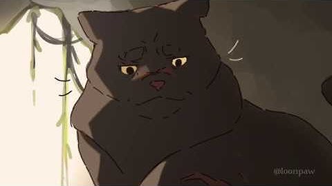 Part 11 | Better Days PMV MAP