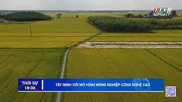 Tây Ninh với mô hình nông nghiệp công nghệ cao | TayNinhTV