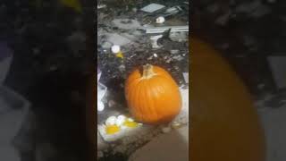 this is part 2 throwing eggs