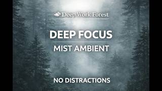 🌫️ Foggy Forest Ambient for Deep Work | 3 Hours Mist Soundscape for Focus & Study screenshot 1