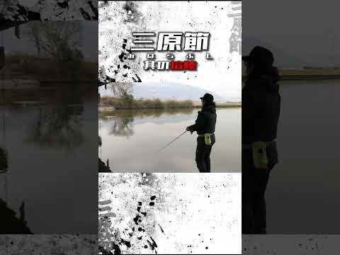 WAZAMONOのプロトジャークベイト（Vish 三原節） #shorts