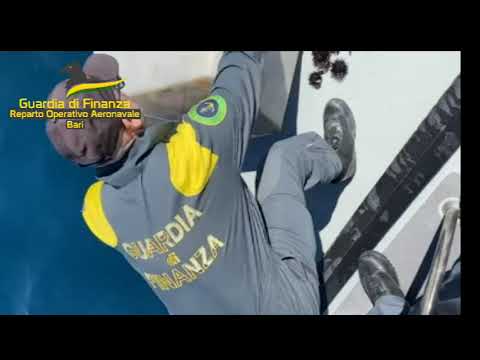 Sequestrati 6mila ricci di mare pescati illegalmente in Puglia: denunciato titolare di una pescheria