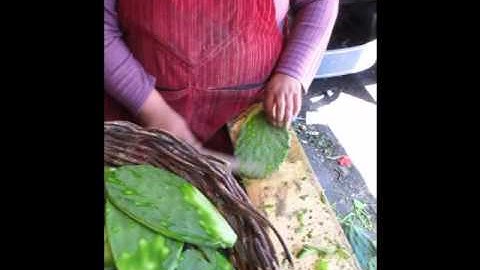 How to Clean a Hoja de Nopal (Cactus Paddle) in Mercado Merced, Mexico City