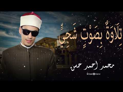 🌿📖 قرآن يُرتل بخشوع نادر | الشيخ محمد أحمد حسن في تلاوة تأسر الروح