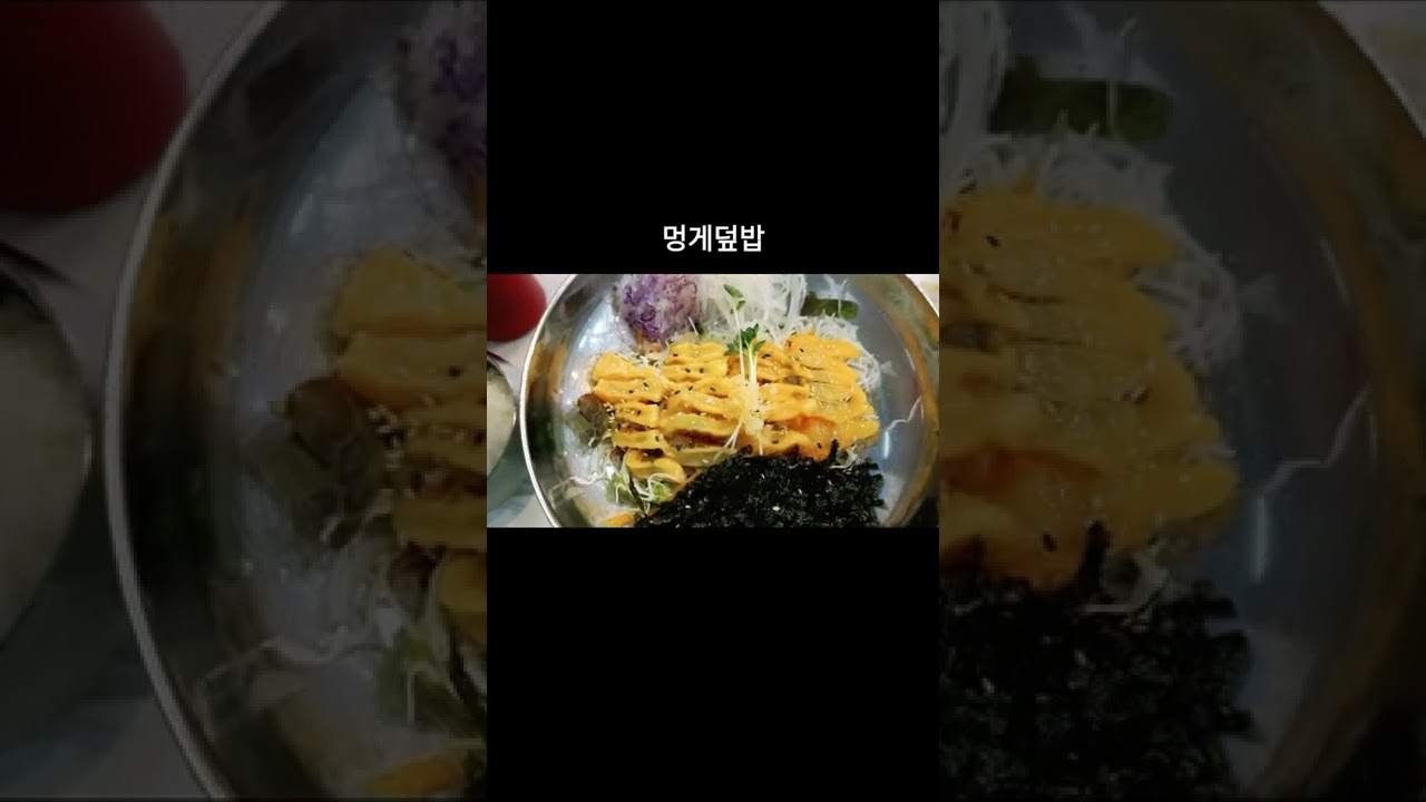 속초맛집 | "구구집" 멍게덮밥과 물회 #shorts