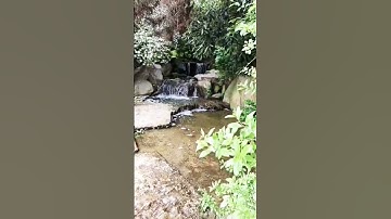 اللهم  اجعل القرآن الكريم ربيع قلوبنا ونور صدورنا اللهم علمنا منه ماجهلنا وذكرنا منه مانسينا#اكسبلور