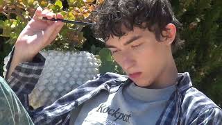 Marcin Maciejczak - Tylko gest (Official Visualizer)