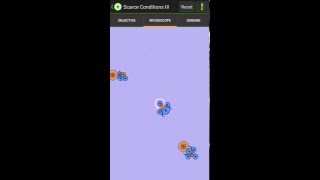 Cell Lab: 2 Flagellocyte, 1 Myocyte Swimmer - Scarce III 800 Cells