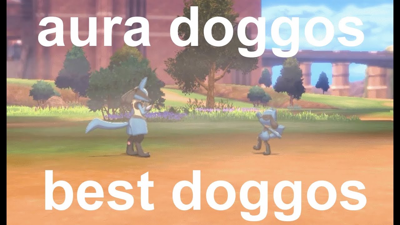 pokemon camp but its the riolu evolution line