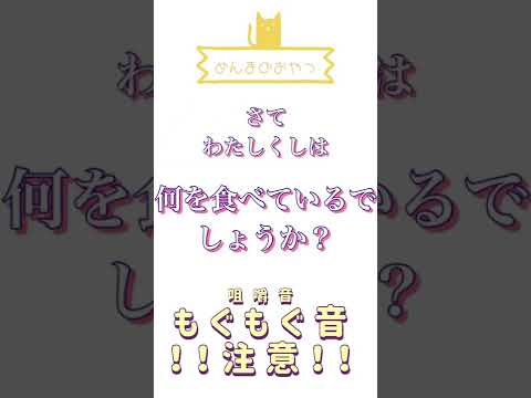 【咀嚼音ASMR】めんまのおやつ #Shorts #日向猫めんま