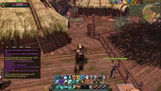 CABAL 2(US) - Force Archer(FA) Bm attack 40 lvl patch Amazone