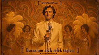 Bursanın Ufak Tefek Taşları 70S Psychedelic Rock Ai Cover Mezomind