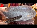 Nice Cutting Style | Big Tripletail Fish Cutting By Expert Fish Cutter