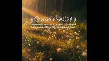 سوره الطور كامله بصوت القارئ ((زياد محمد حامد)) اللهم صلِ على محمد وال محمد