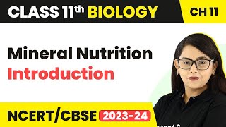 Mineral Nutrition - Introduction | Class 11 Biology Chapter 12 | Class 11 Biology (2022-23)