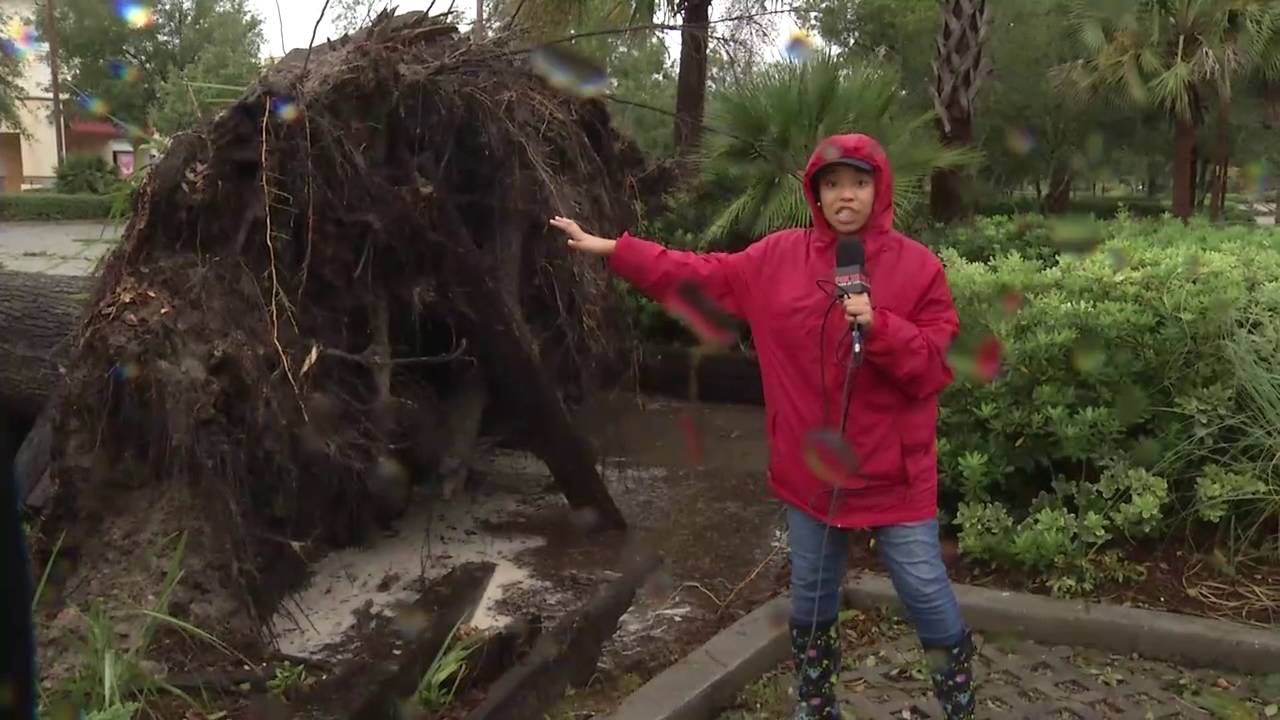 Hurricane Matthew damage to Bluffton store YouTube