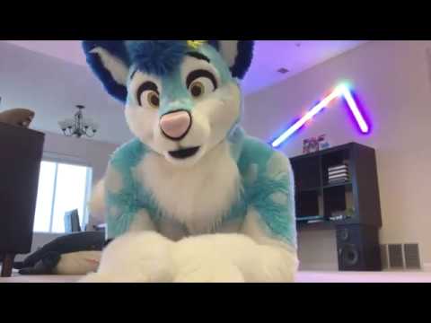 Color, MNEK, Hailee, Steinfield, Fursuit, Dancing, Furry, Husky, Dance, Fre...