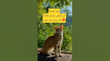 #اللهم_صل_وسلم_على_نبينا_محمد #اكسبلور #اقنباسات #لايك #رسول_الله #الله #القارئ #حالات_واتس #يارب
