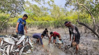 সুন্দরবনের গভীর জঙ্গলে ঝুঁকি নিয়ে মাছ ধরতে এলাম