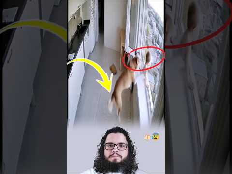 اليعد الحظ افضل من الهلاك ولحظ لطف من الله يحمينا      