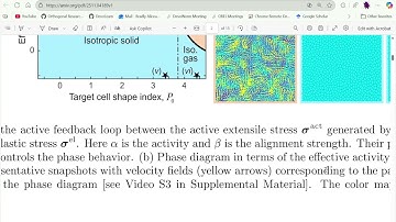 DevoWorm (2025, #37): Epithelial Mechanics, Macromolecular Crowding, Archaeal Internal Compartments