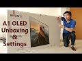 Sony A1/ A1E OLED TV Unboxing + Picture Settings