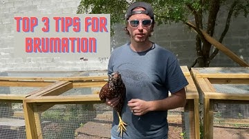 Brumation Tips