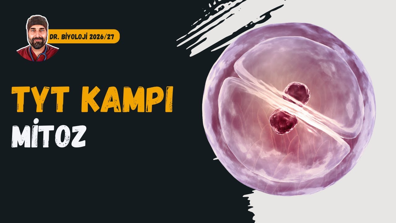 Hücre Bölünmeleri - Mitoz | Dr. Biyoloji | Dönem 2026 - 2027