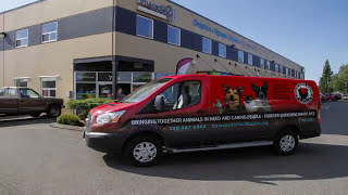 Image360 Burlington Van Wrap Time Lapse