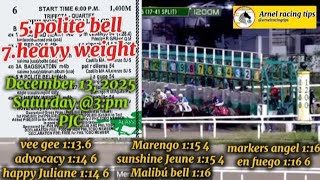 PJC ARNEL RACING TIPS SATURDAY @3:PM DECEMBER 13, 2025 @PhilippineJockeyClub PLS WATCH &amp; SUBSCRIBE 