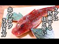 【誰でも簡単】ホウボウのさばき方~3枚おろしと刺身の切り方