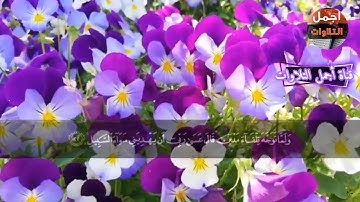 تلاوة نادرة لفضيلةالشيخ عبدالباسط(فَلَمَّا أَنْ أَرَادَ أَن يَبْطِشَ بِالَّذِي هُوَ عَدُوٌّ لَّهُما)