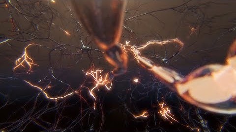 Dopaminergic neurons