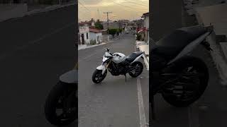 Hornet branca fim de tarde