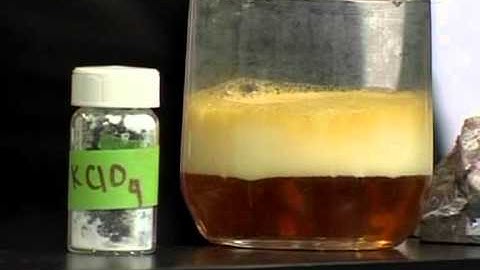 US launches robot seeking signs of life on Mars