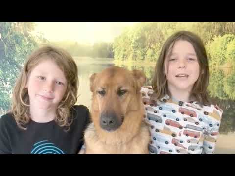 Video: Cranberry Voor Honden - Kunnen Honden Veenbessen Eten?