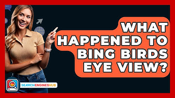 What Happened To Bing Birds Eye View? - SearchEnginesHub.com