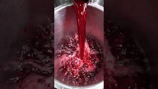From sun-ripened, ruby-red seeds to pure, vibrant liquid perfection. 🍷✨ Bold flavor, freshly squeez