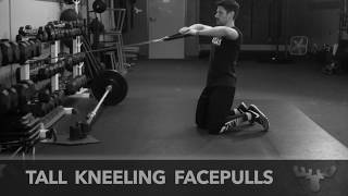 Tall Kneeling Face Pulls