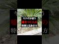 嘘つきの共通点とは?#心理学 #人間関係 #嘘の見抜き方#恋愛