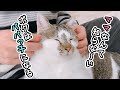 【Vlog】パパとお留守番！男2人きりで過ごしたら絆が深まったようです