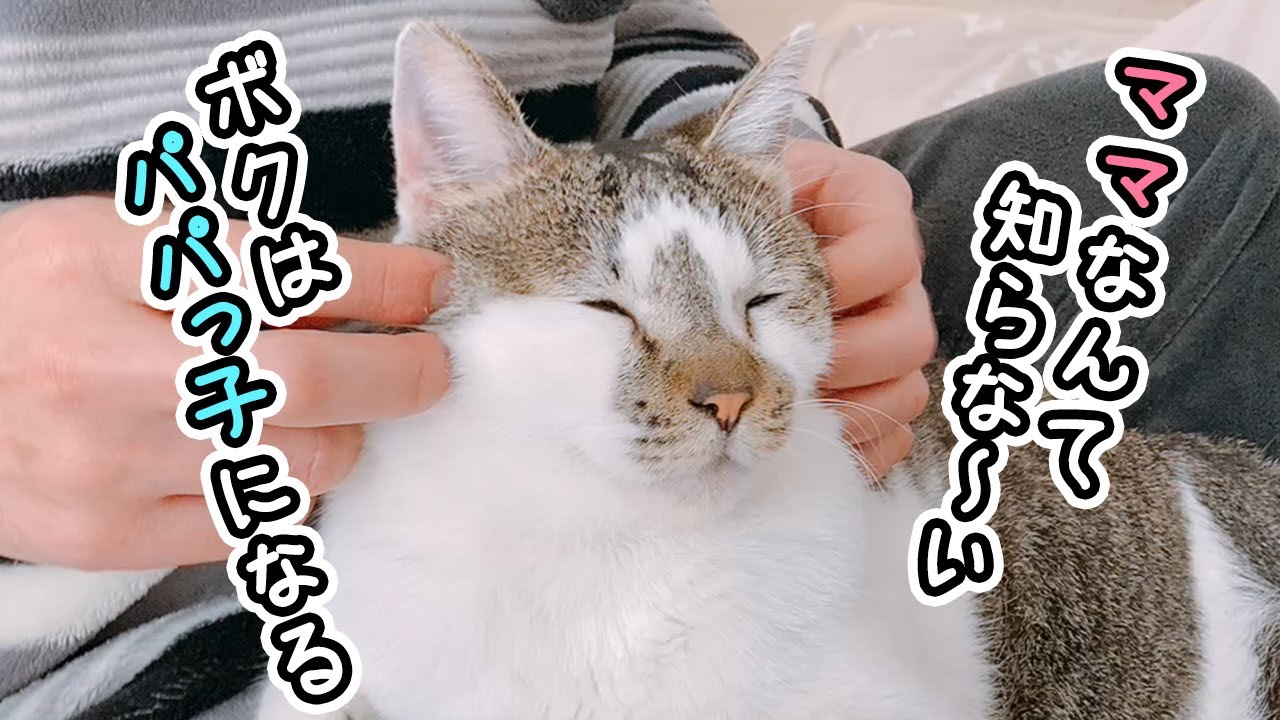 野生目覚めてて草」元野良猫に『生肉』をあげてみた結果…驚きの変化が