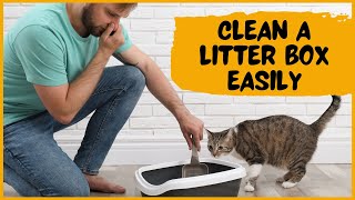 How To Keep Clean A Cat Litter Box??Quick Solution