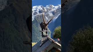 Delil Dilaner Necirvano