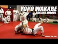 Judo Tachi Waza | Yoko Wakare by Sofiane Milous, 2010 European Champion