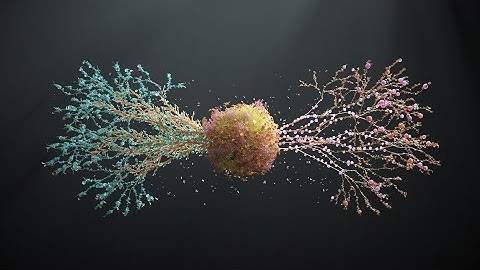At the Beginning of Everything - Deloitte