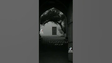 اجر لي ولكم #القران الكريم #السعودية #تبوك