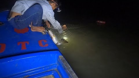 hai cha con thăm lưới cá chẻm đêm được con cá chẻm khủng (lê nghiã cần giờ)