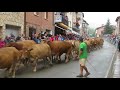 Bajada de las vacas de Fresneda 2017