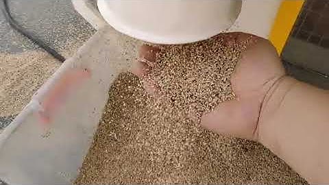 5XZ-6 gravity separator clean sesame remove bad seed and damage seed.